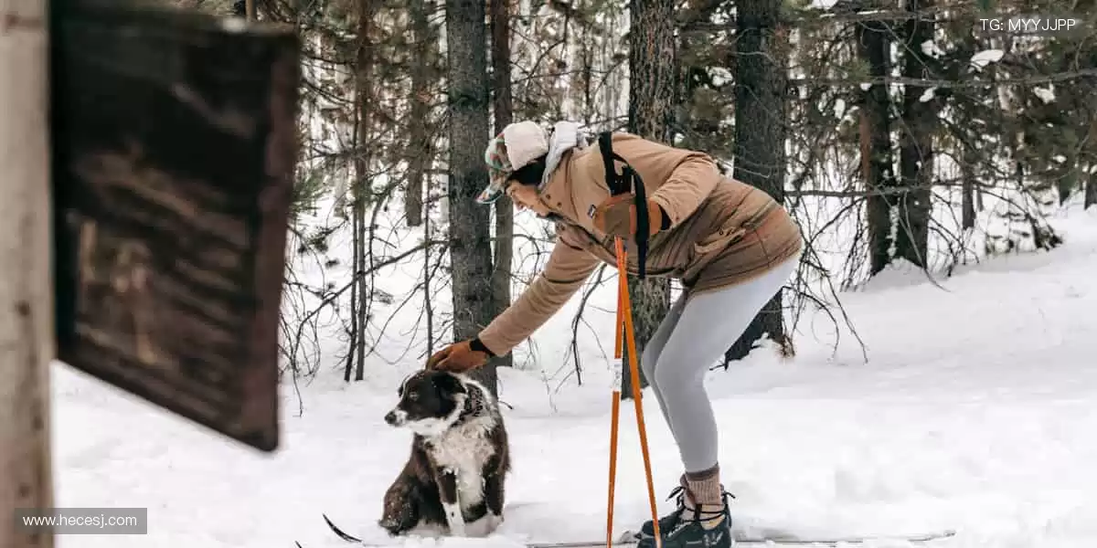 🏆 见证每一刻荣耀，体育赛事方才规、让热爱永不缺席！